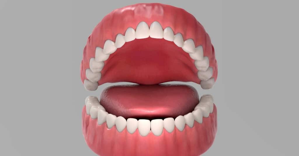 Scientists Built an Artificial Tongue That Tastes and Learns Like the Real Thing