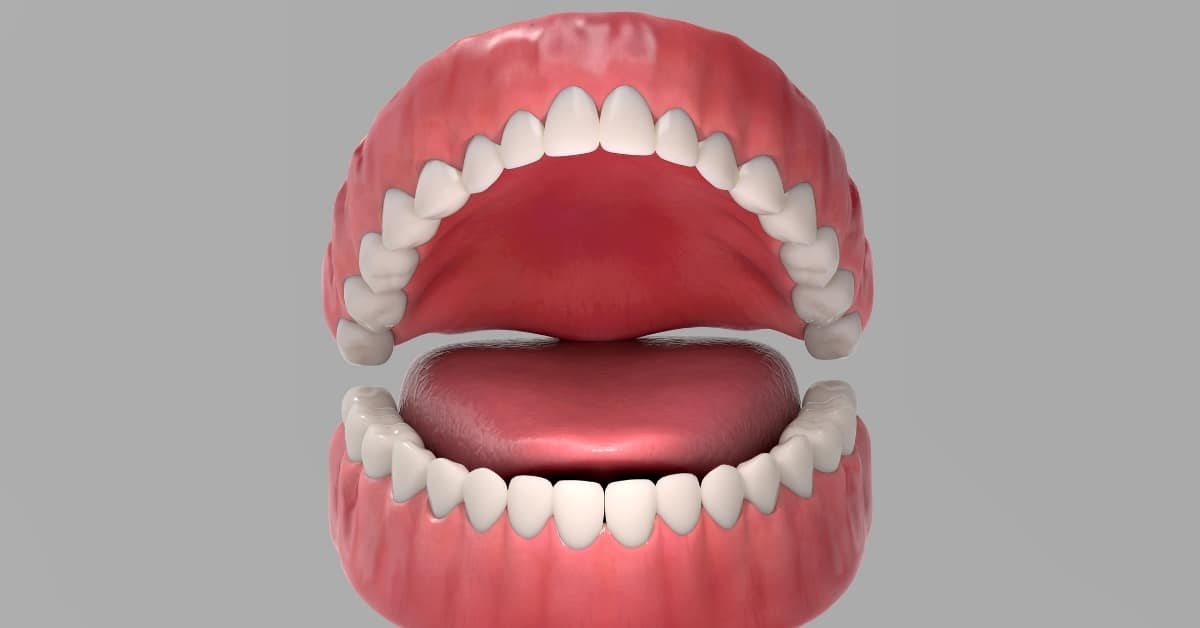 Scientists Built an Artificial Tongue That Tastes and Learns Like the Real Thing