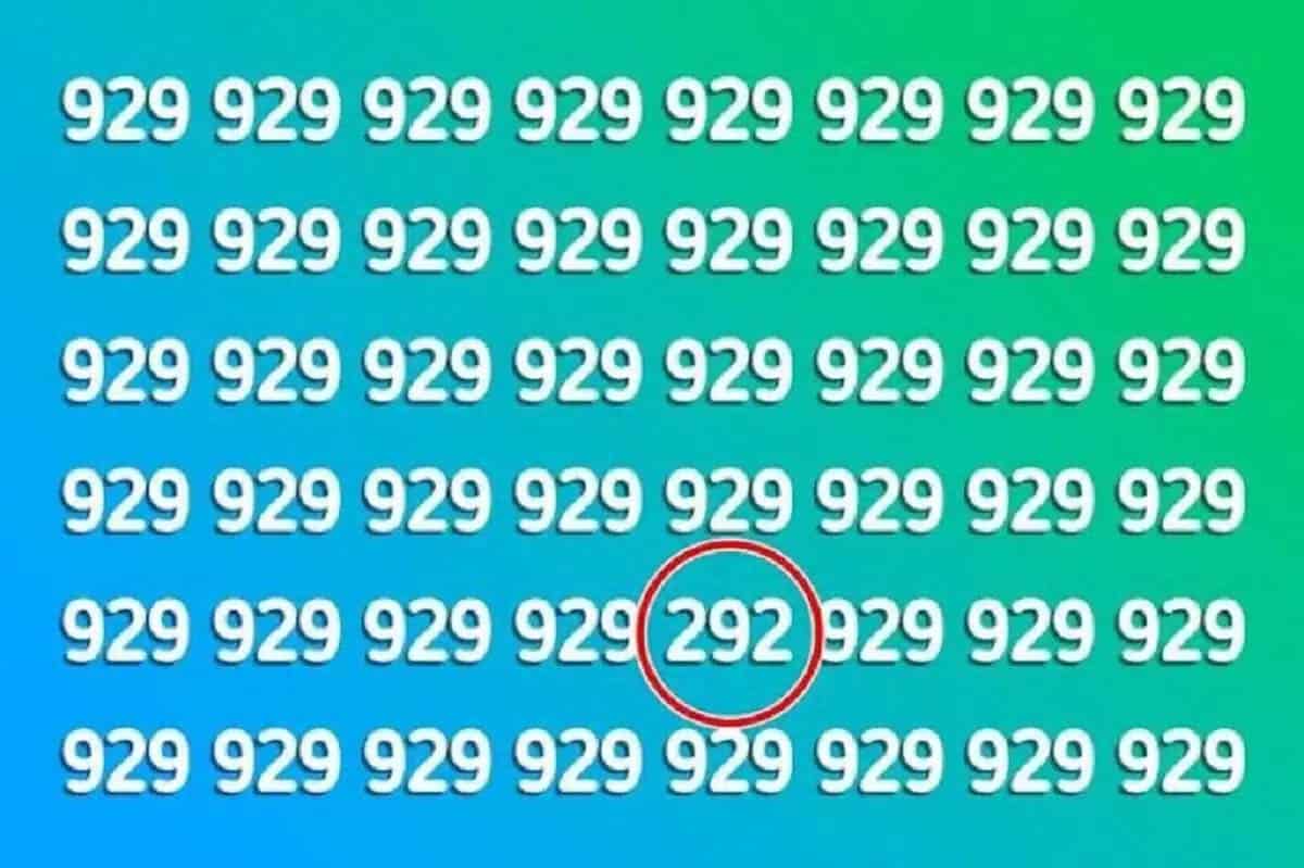 292 hidden in plain sight