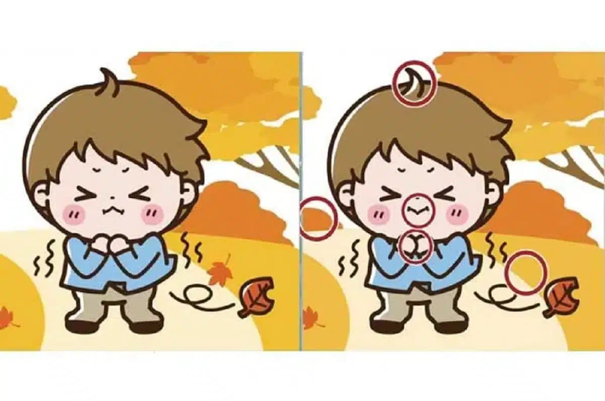 3 difference