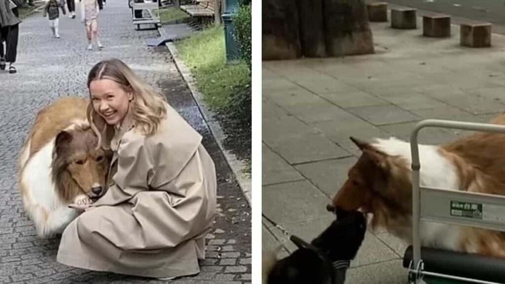 this Japanese man takes his new life to the next level