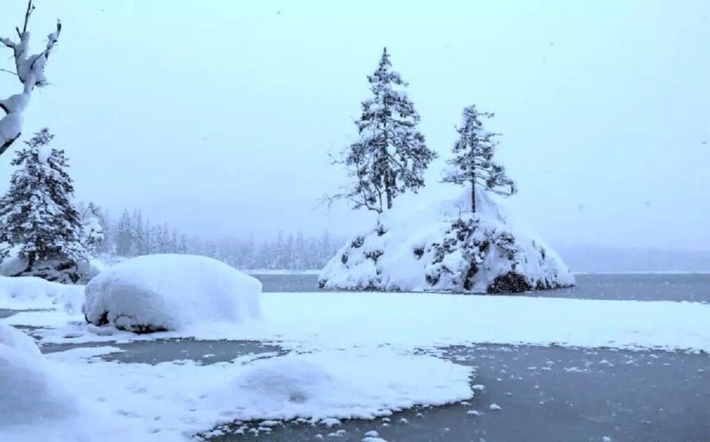 Can you spot the polar bear in under 15 seconds?