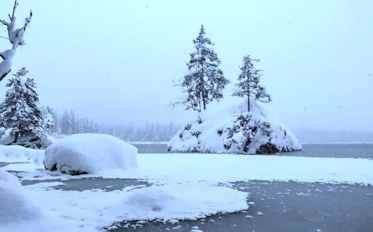 Can you spot the polar bear in under 15 seconds? This illusion is a real challenge