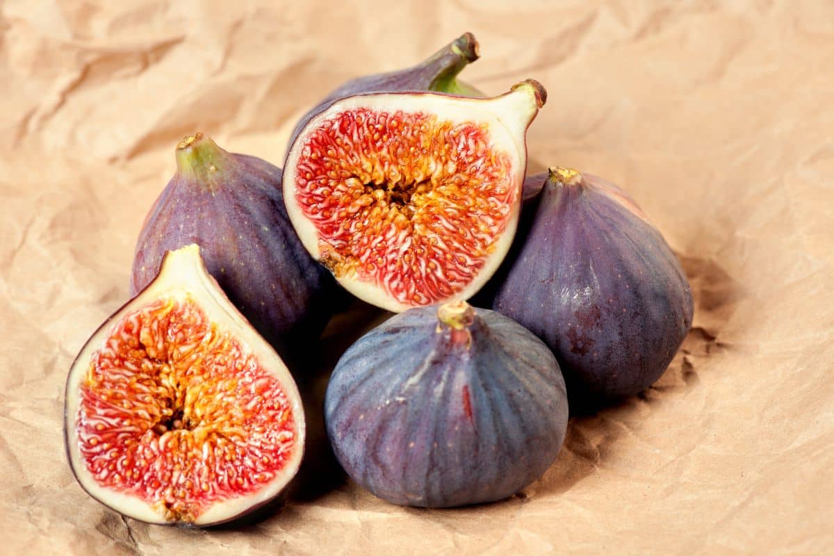 Uneaten mystery: every fig hides this surprising insect inside its sweet flesh