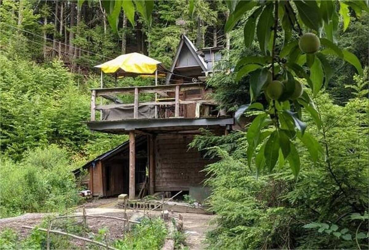 Man living alone in the woods 1
