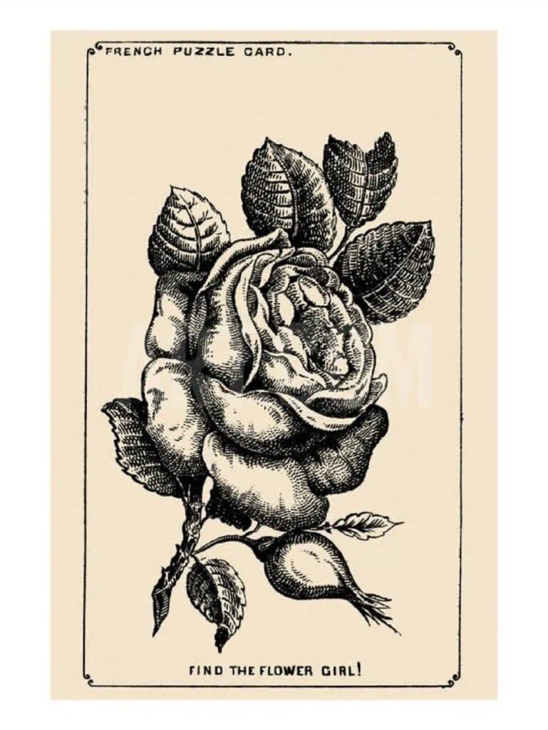 can you find the hidden girl’s face in this 1880 rose illustration?