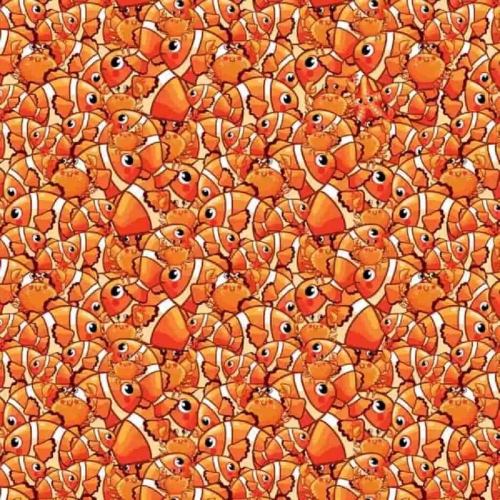 Spot the starfish among crabs and fish