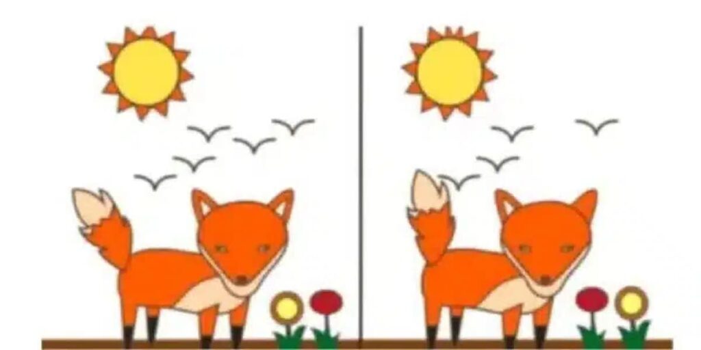 These two foxes aren’t identica