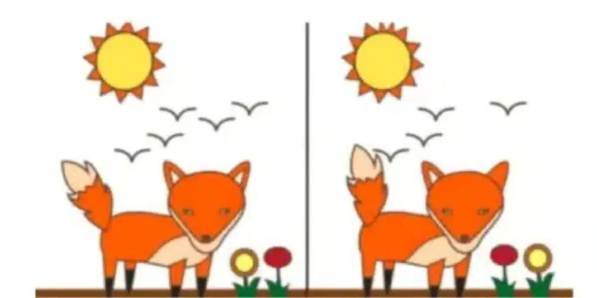 These two foxes aren’t identica