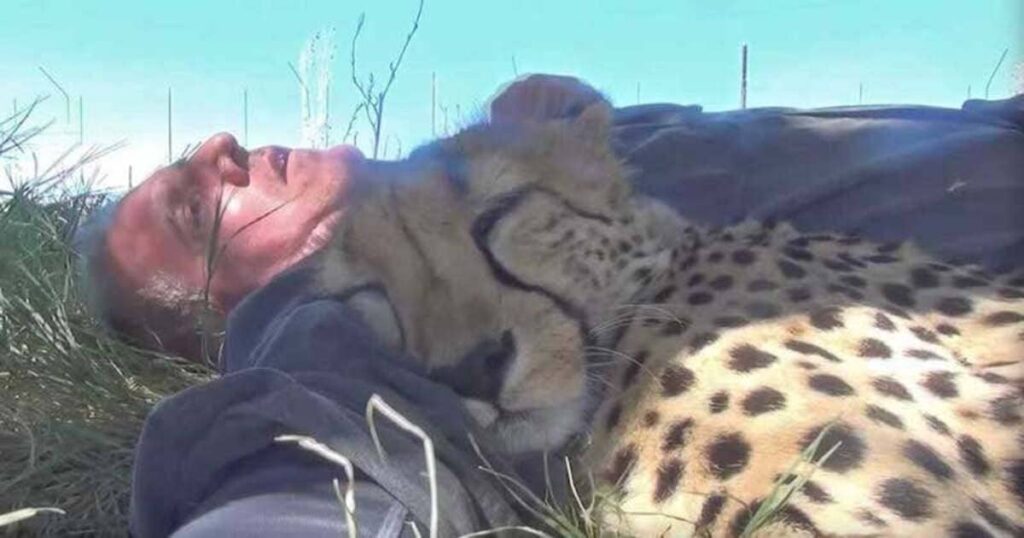 This wildlife photographer woke up from a nap under a tree with