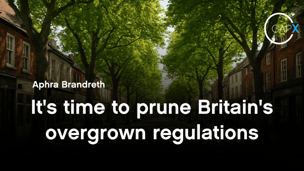 It’s time to prune Britain’s overgrown regulations