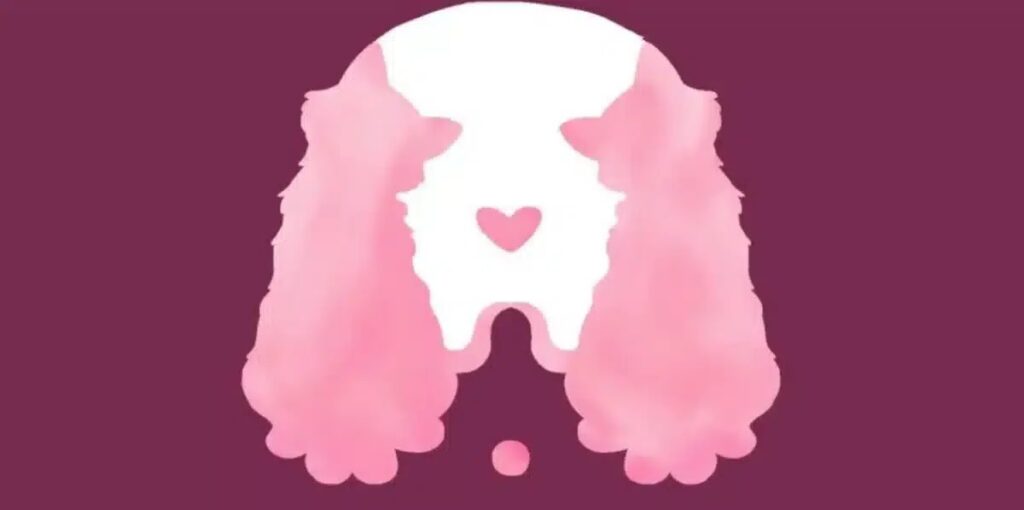 What Animal Do You See