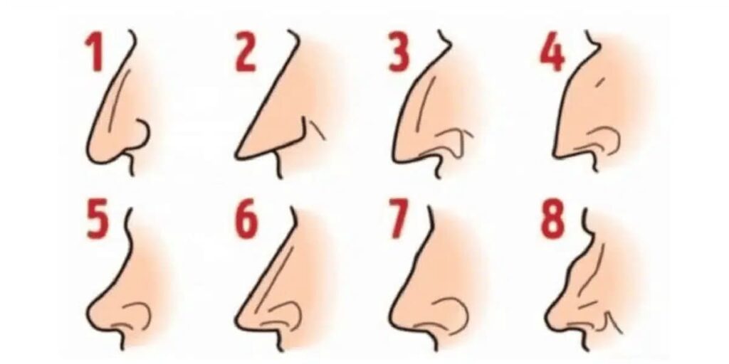 nose shape