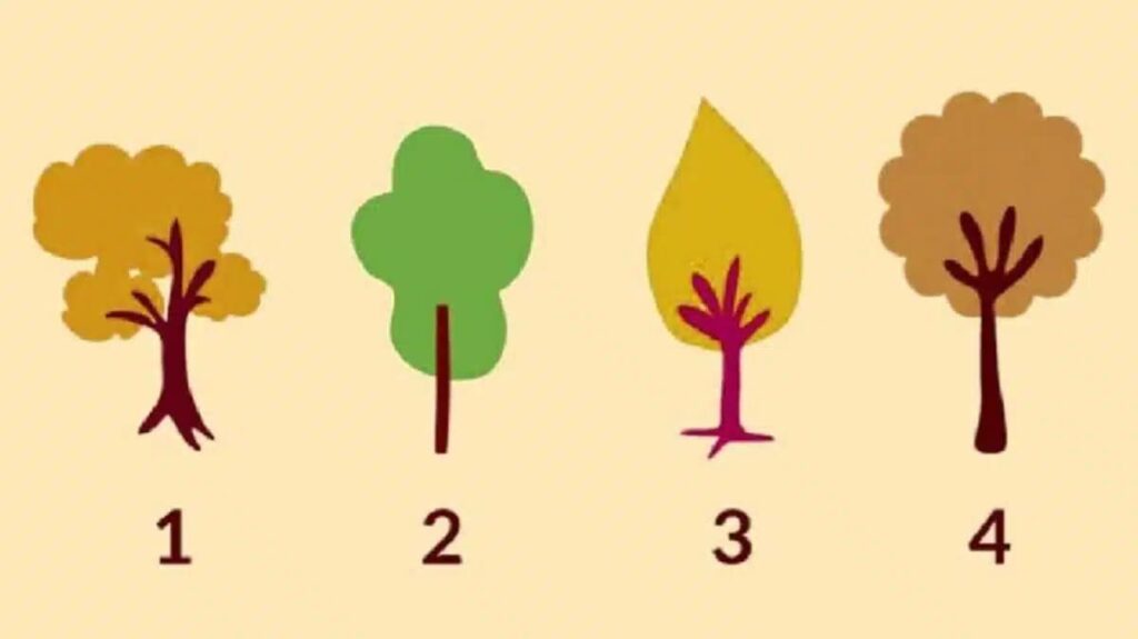 Which tree are you drawn to?