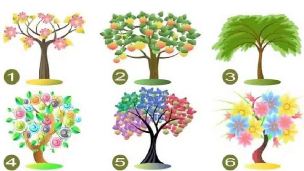 Which tree draws your attention first?