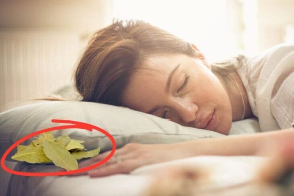 Why are people putting bay leaves under their pillows?