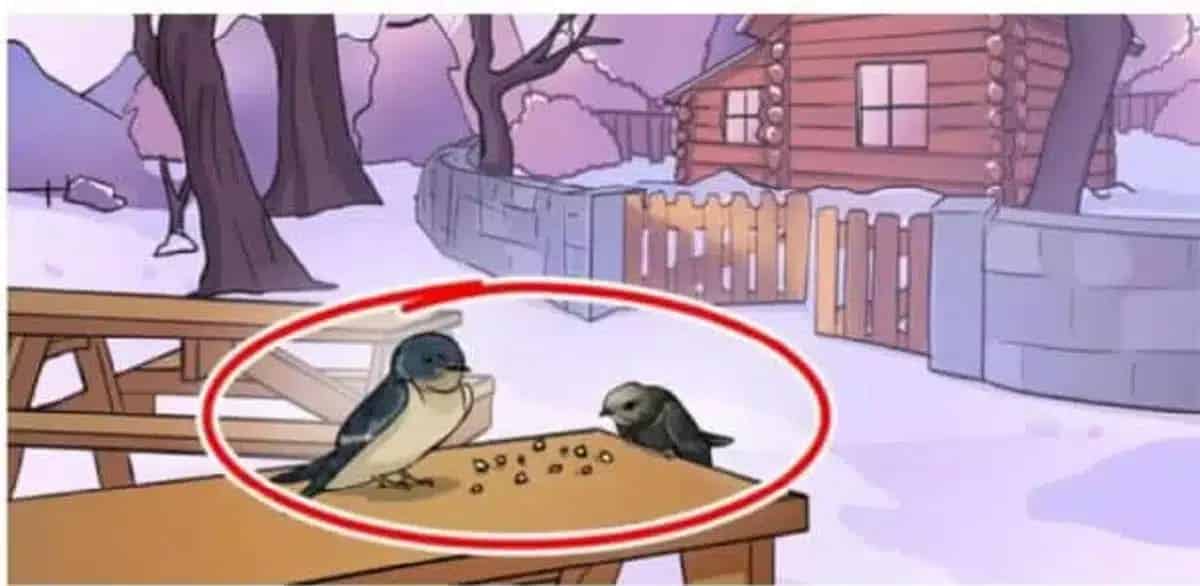 the mistake