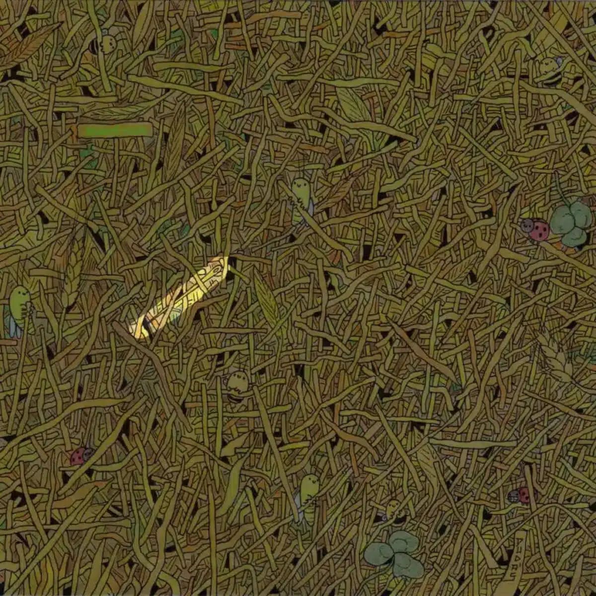 the needle in the haystack