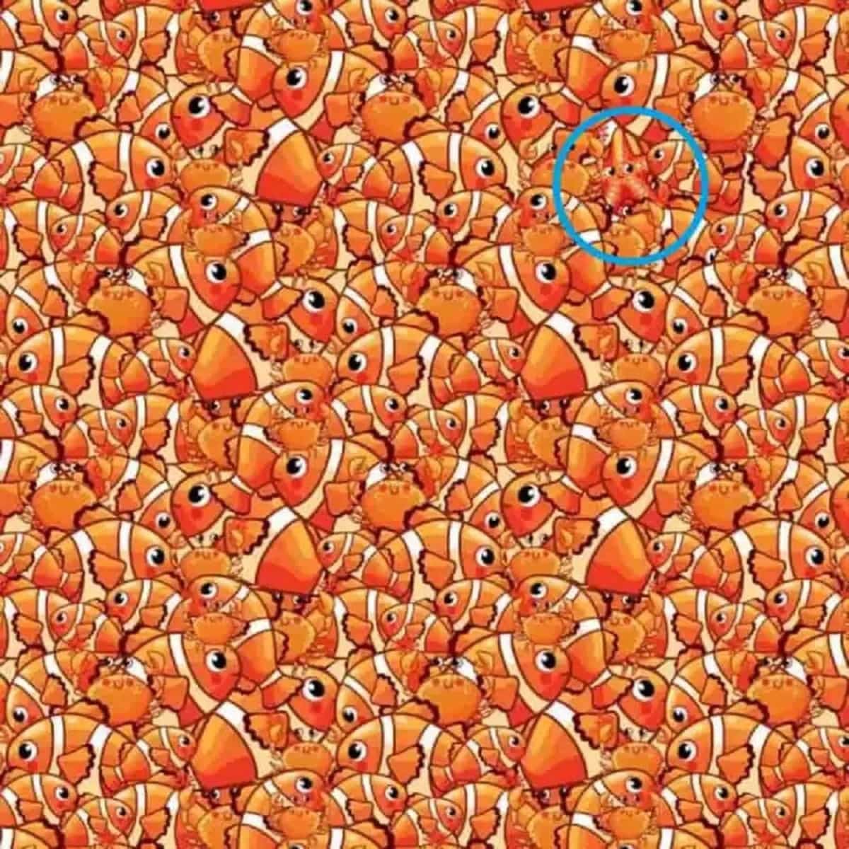 the starfish