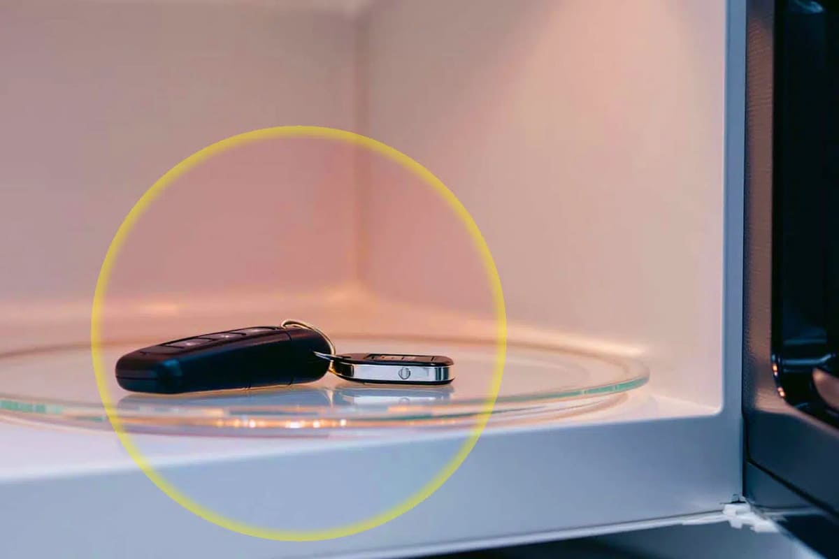 Experts suggest storing your car keys in the microwave overnight