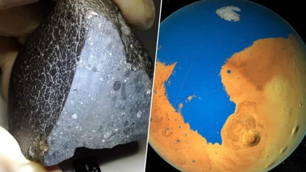 In 2011, a collector bought a Moroccan meteorite