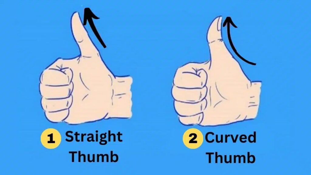 what your thumb shape secretly reveals about you