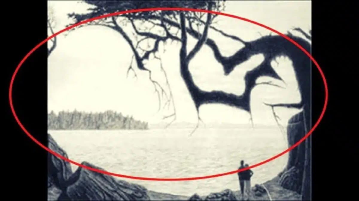 illusion