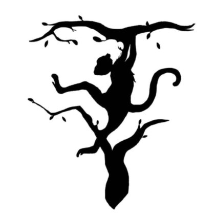 What you notice first in this image reveals a surprising trait of your