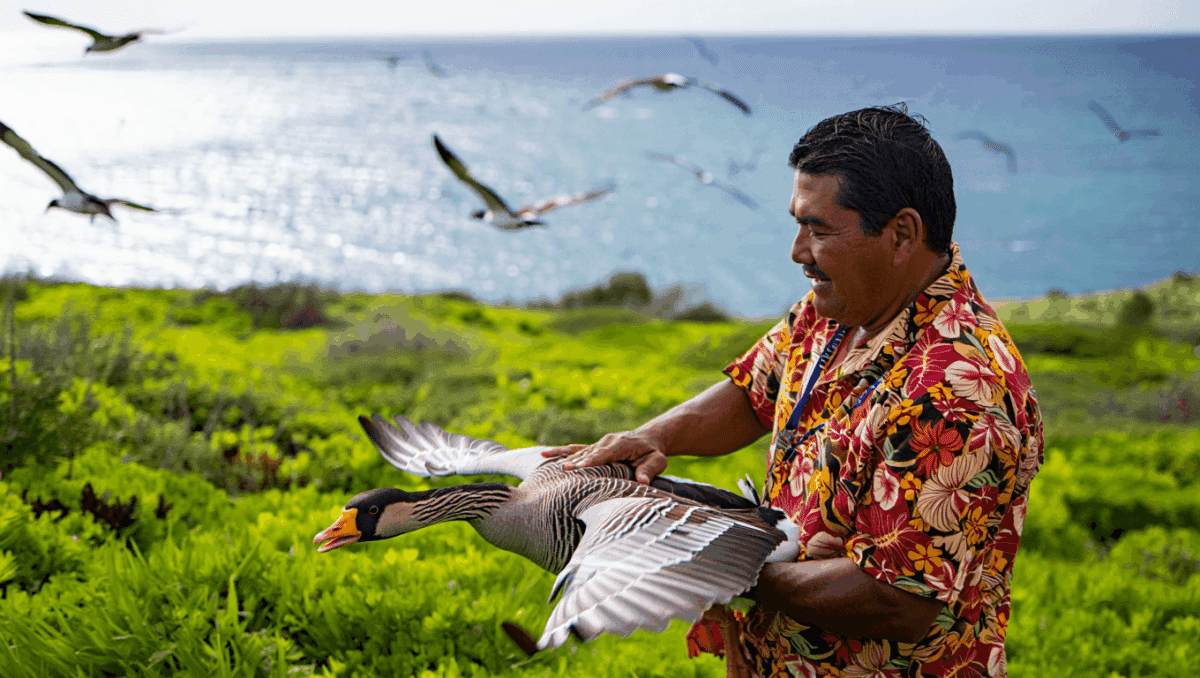 Study Debunks Myth of Native Hawaiians Brutishly Causing Bird Extinctions