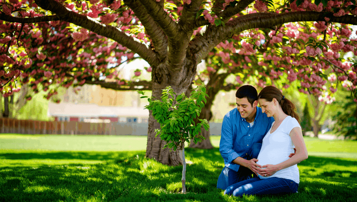 Tree that teen sweethearts planted grows baby offshoot after she became ...