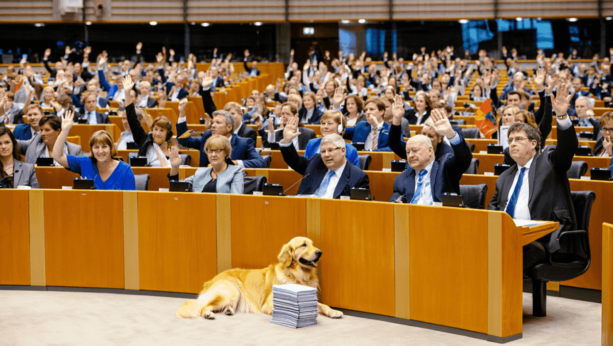 EU Passes Animal Protection Law for Keeping, Breeding, and Selling