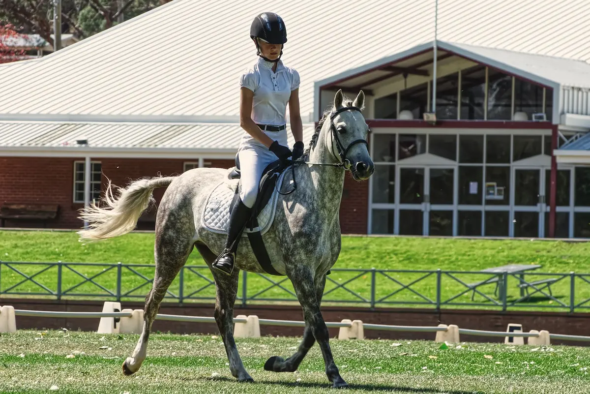 A blind horse and rider performing synchronized dressage movements in an arena with precision and grace.