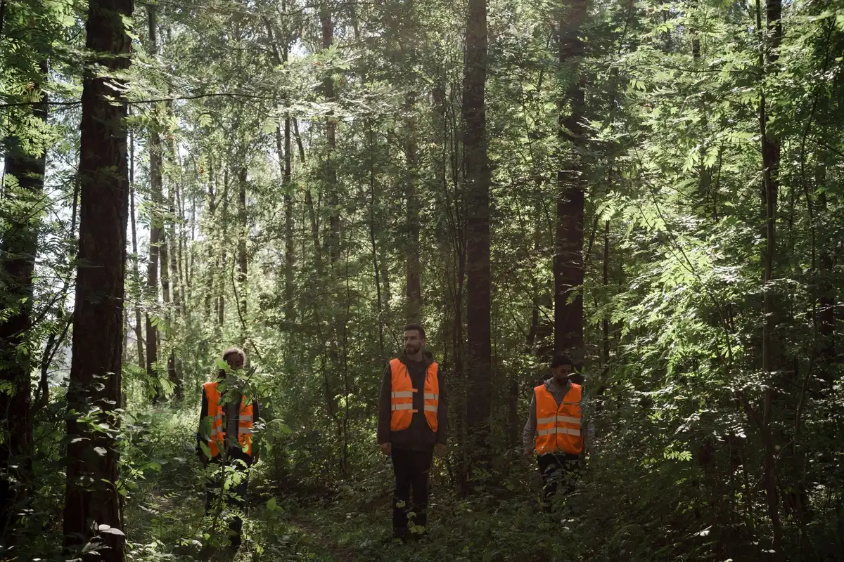 Conservation team deploying camera traps in dense forest habitat to monitor wildlife populations