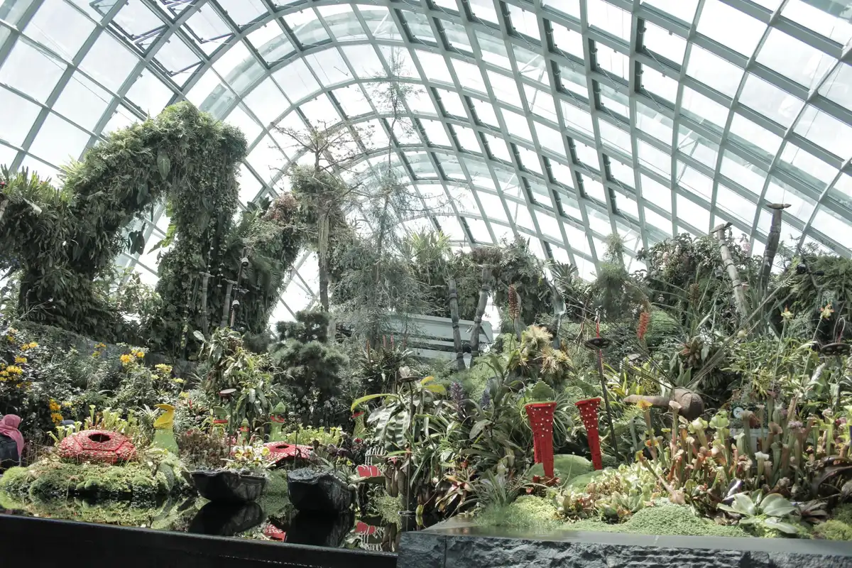 Visitors gathering around a bloom watch information board in a greenhouse