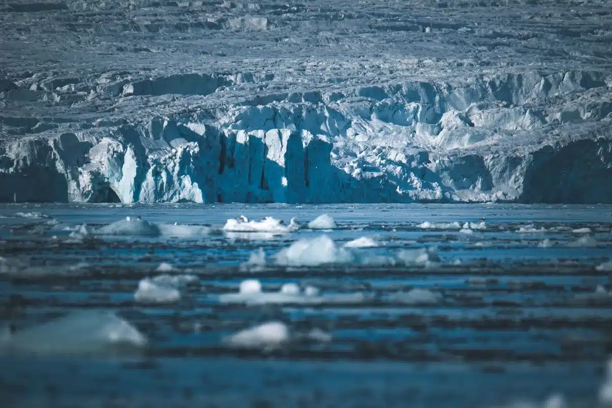 Thermometer or temperature gauge representing ocean warming and heat stress on marine ecosystems