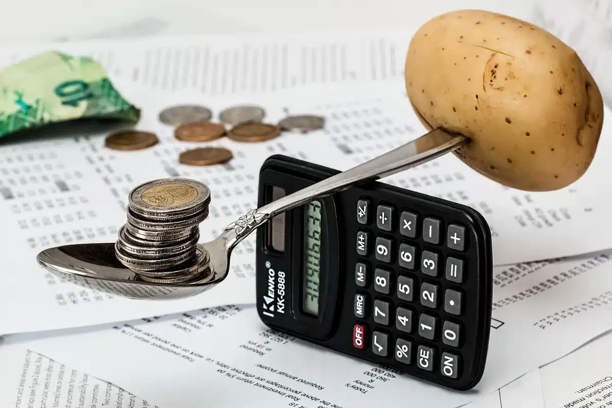 Hands holding budget documents and financial spreadsheets on a desk
