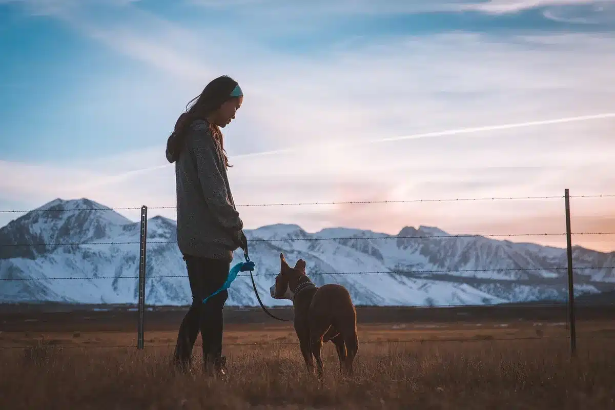 Foster caregiver walking a dog on a lead for gentle exercise