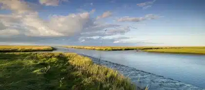 Tidal channels and saltmarsh with distant shorebird silhouettes on a windswept coast