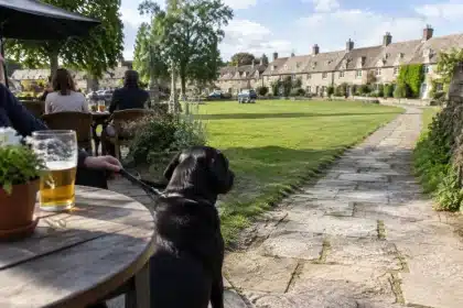 Far-right fantasy: country pubs, warm ale and labradors under scrutiny