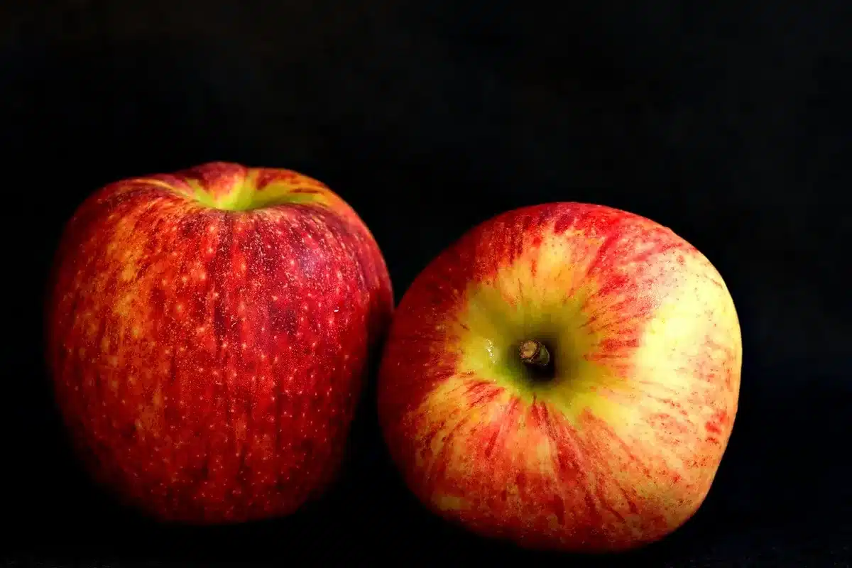 Close-up of several different heirloom apple varieties showing varied shapes and colors