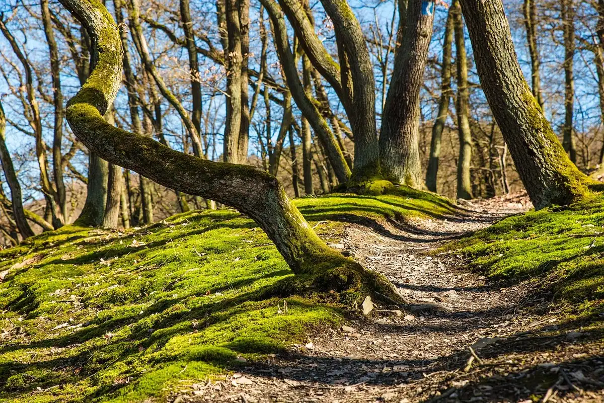 Rain-soaked trail with hikers hurrying toward parking amid storm clouds
