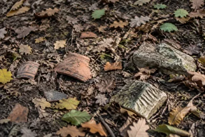Roman temple to war god unearthed in Germany inches below forest floor